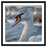 Majestic Swan Portrait In Snowy Waters thumbnail