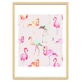 Flamingo Formation thumbnail
