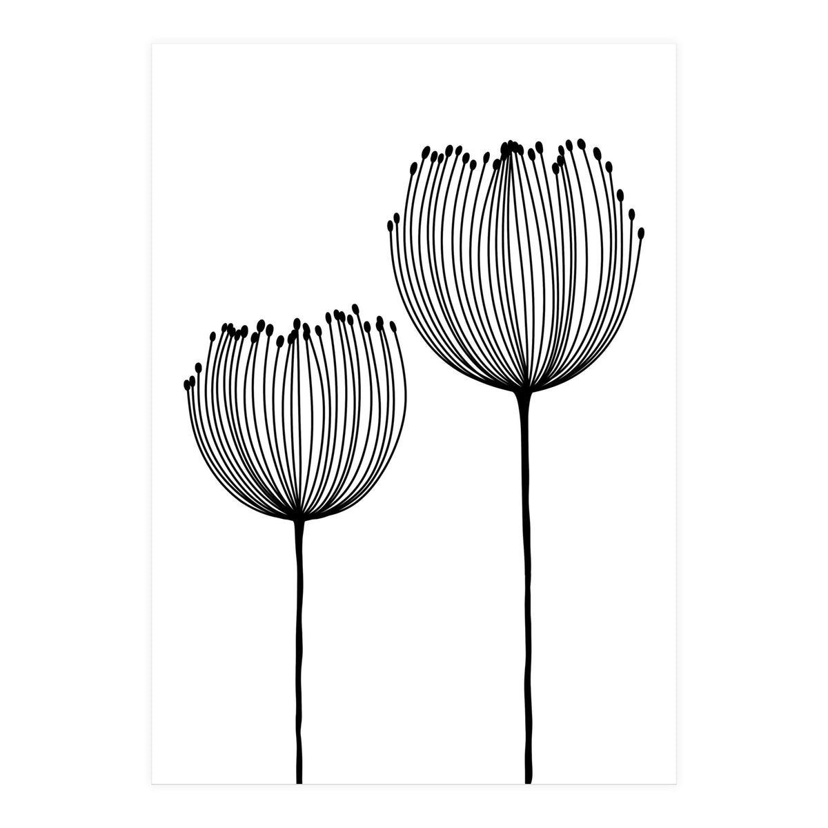 Two wildflowers (Print Only)