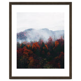 Fog thumbnail