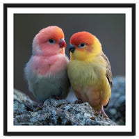 Pair Of Lovebirds Sitting On Rocks
