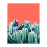 Cactus On Coral (Print Only) thumbnail