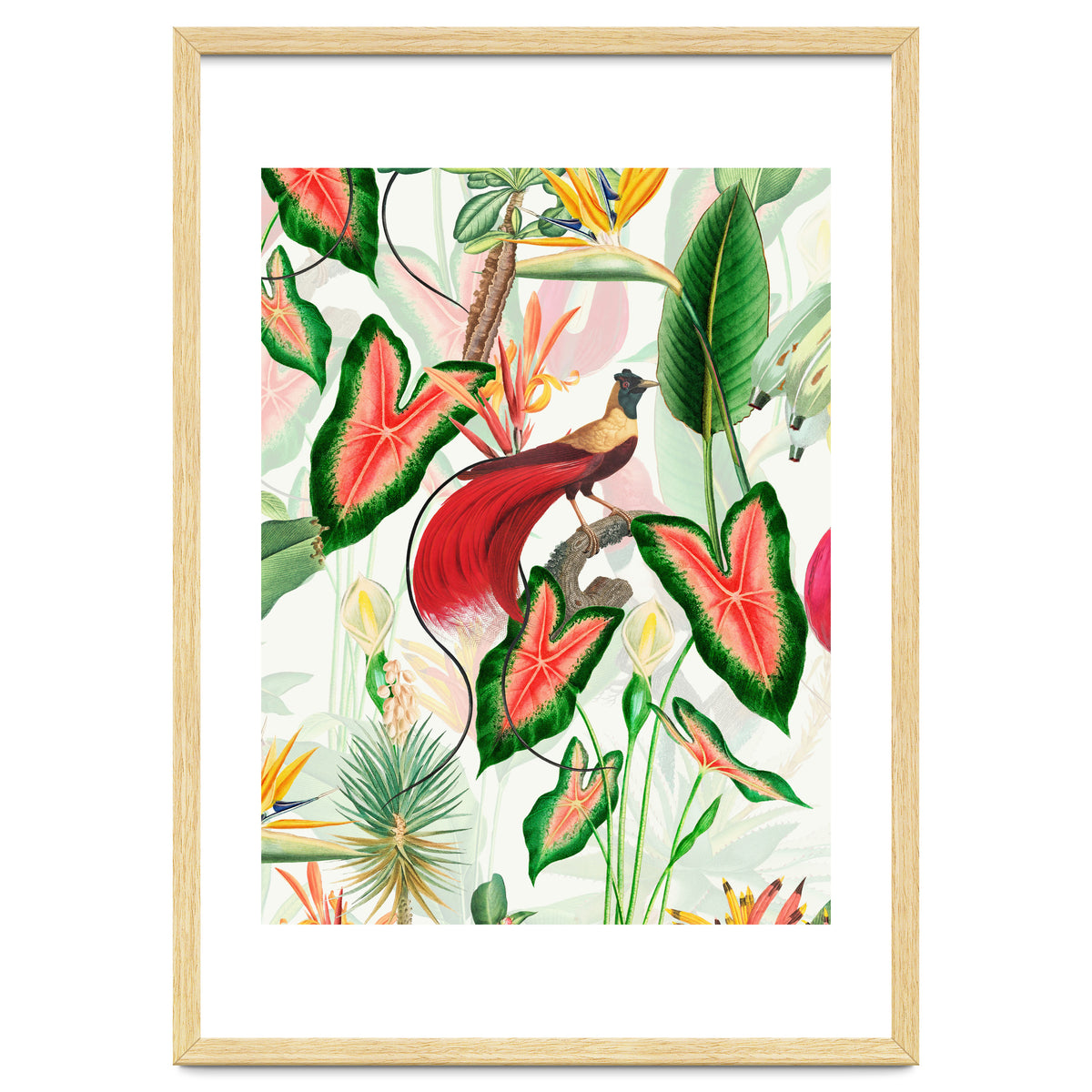 Vintage Bird Of Paradise in Jungle