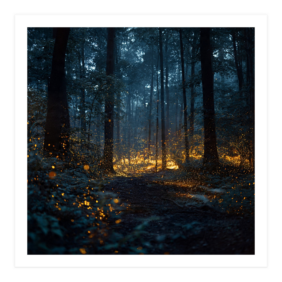 Enchanted Midnight Forest with Glowing Fireflies (Print Only)