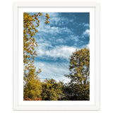 Autumn Evening thumbnail