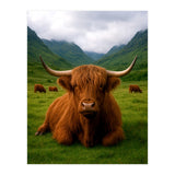 Highland Cow in Scotland (Print Only) thumbnail