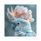 Close Up Of A White Cockatoo With Pink Crest (Print Only) thumbnail