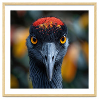 Close Up Of A Strikingly Beautiful Bird Face