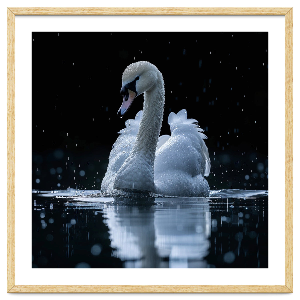 Majestic Swan Swimming In Dark Water