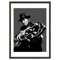 Taj Mahal American Blues Musician Legend