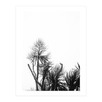 Miminalist Palm (Print Only)