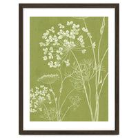 Wildflowers III