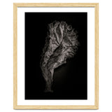 Leaves No 9 thumbnail