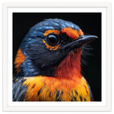 Vibrant Bird With Orange And Blue Plumage thumbnail