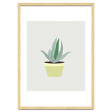 Succulent V1 thumbnail