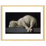 Agnus Dei - ca.1635-40 - oil on canvas - 37,3 x 62 cm - Spanish Baroque - NP 7293. thumbnail
