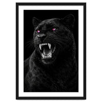 Black leopard with colorful eyes portrait