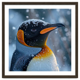 King Penguin Close Up In Snowy Environment thumbnail