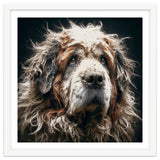 Old Dog 01 thumbnail