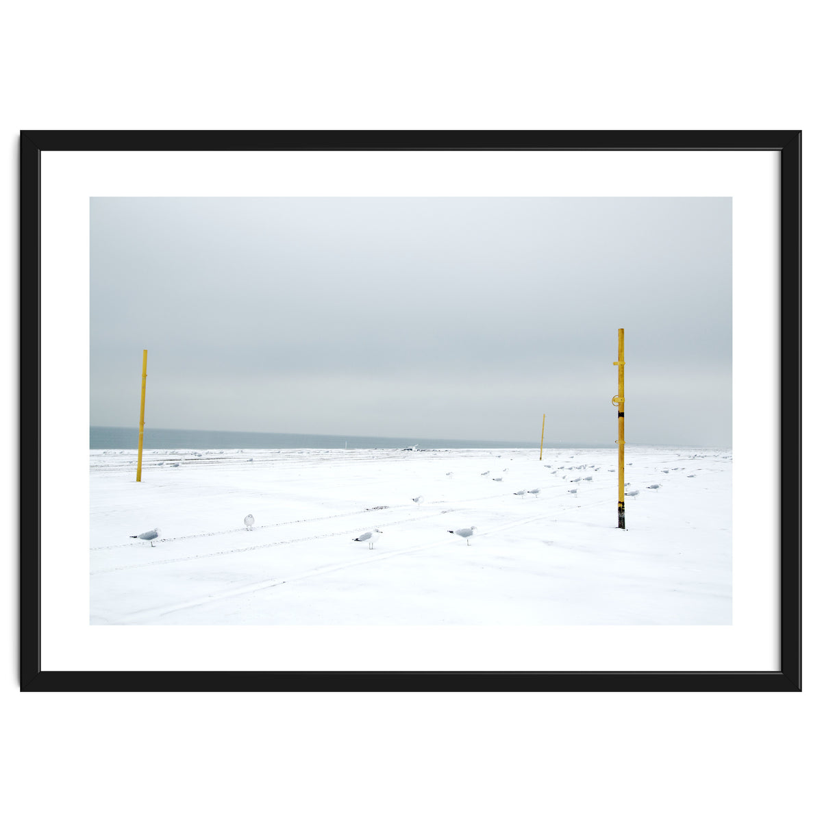 Seagulls in between the volleyball poles in winter snow beach