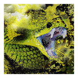 Green Viper Reptile (Print Only) thumbnail
