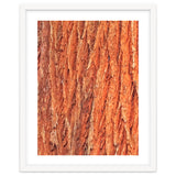 Tree Bark thumbnail