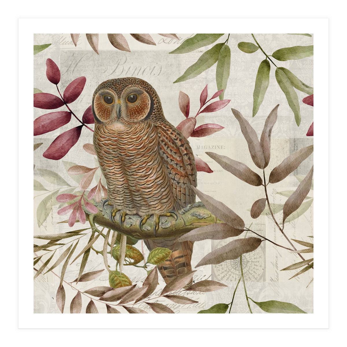 Autumn Owl (Print Only)