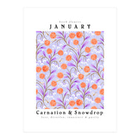 Carnations And Snowdrop January Birth Flower Floral Print (Print Only)
