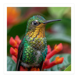 Close Up Of A Hummingbird On Red Flowers (Print Only) thumbnail