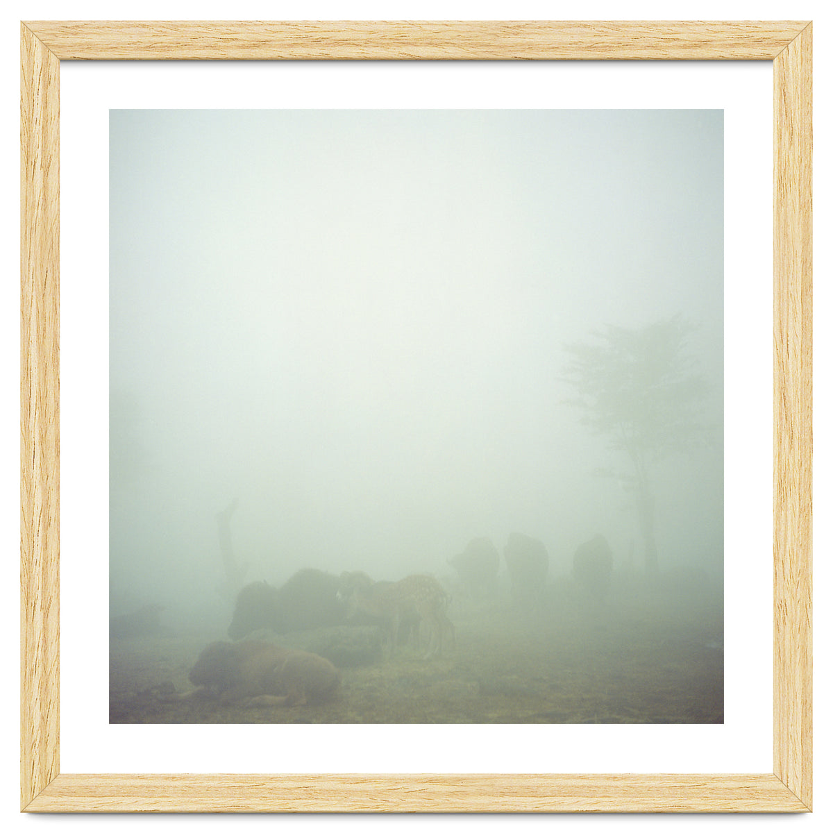 Silence of breath - 03