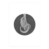 Pangolin no. 3 (Print Only) thumbnail