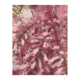 Pink Blossom (Print Only) thumbnail