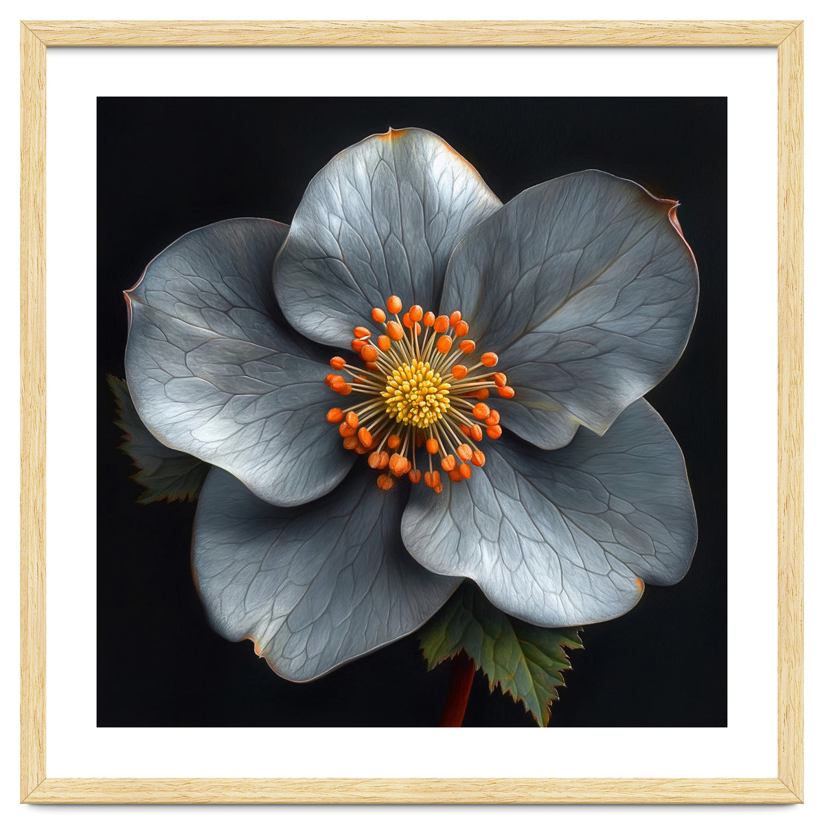 Hellebore | Silver Magic