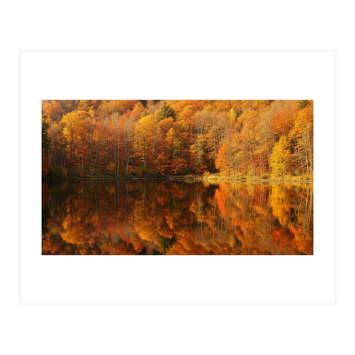 Autumn Reflections (Print Only)