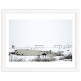 Blackbirds surrounding a frozen pond in winter thumbnail
