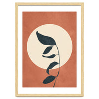 Summer Leaves