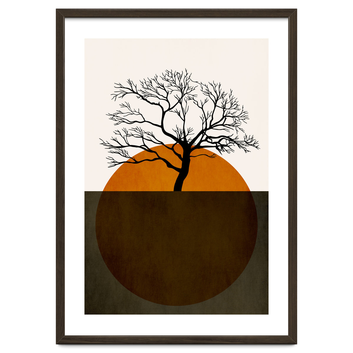 Sunny Days Of Silence