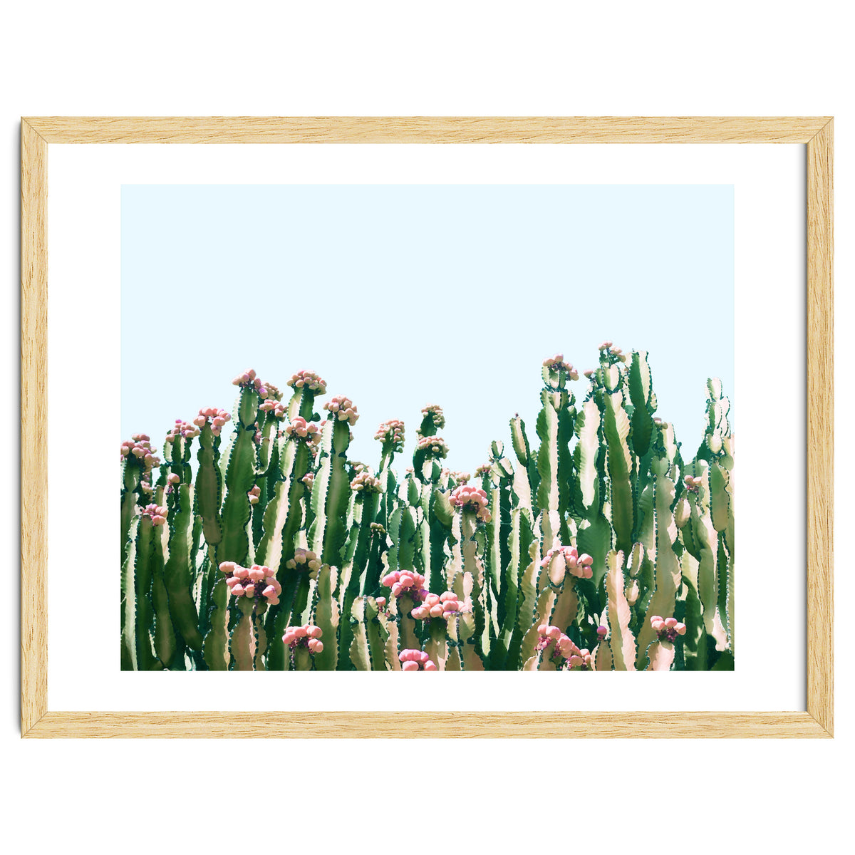 Blush Cactus #society6 #decor #buyart