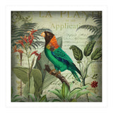 Tropical Bird Nostalgia  (Print Only) thumbnail
