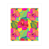 Hiba (Print Only) thumbnail