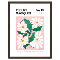 Magical Flowers No.19 Summer Daisies
