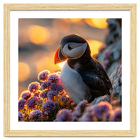Puffin Bird Amidst Purple Flowers Golden Hour