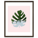 Monstera thumbnail