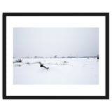 Drinking fountain covered with snow thumbnail