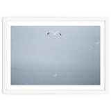 A flying seagull in the winter sky thumbnail