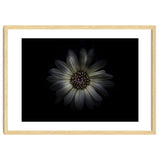 Backyard Flowers No 27 Color Version thumbnail