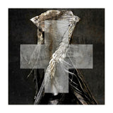 Grey Cross Wraith (Print Only) thumbnail