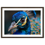 Close Up Of A Peacock Head And Eye thumbnail