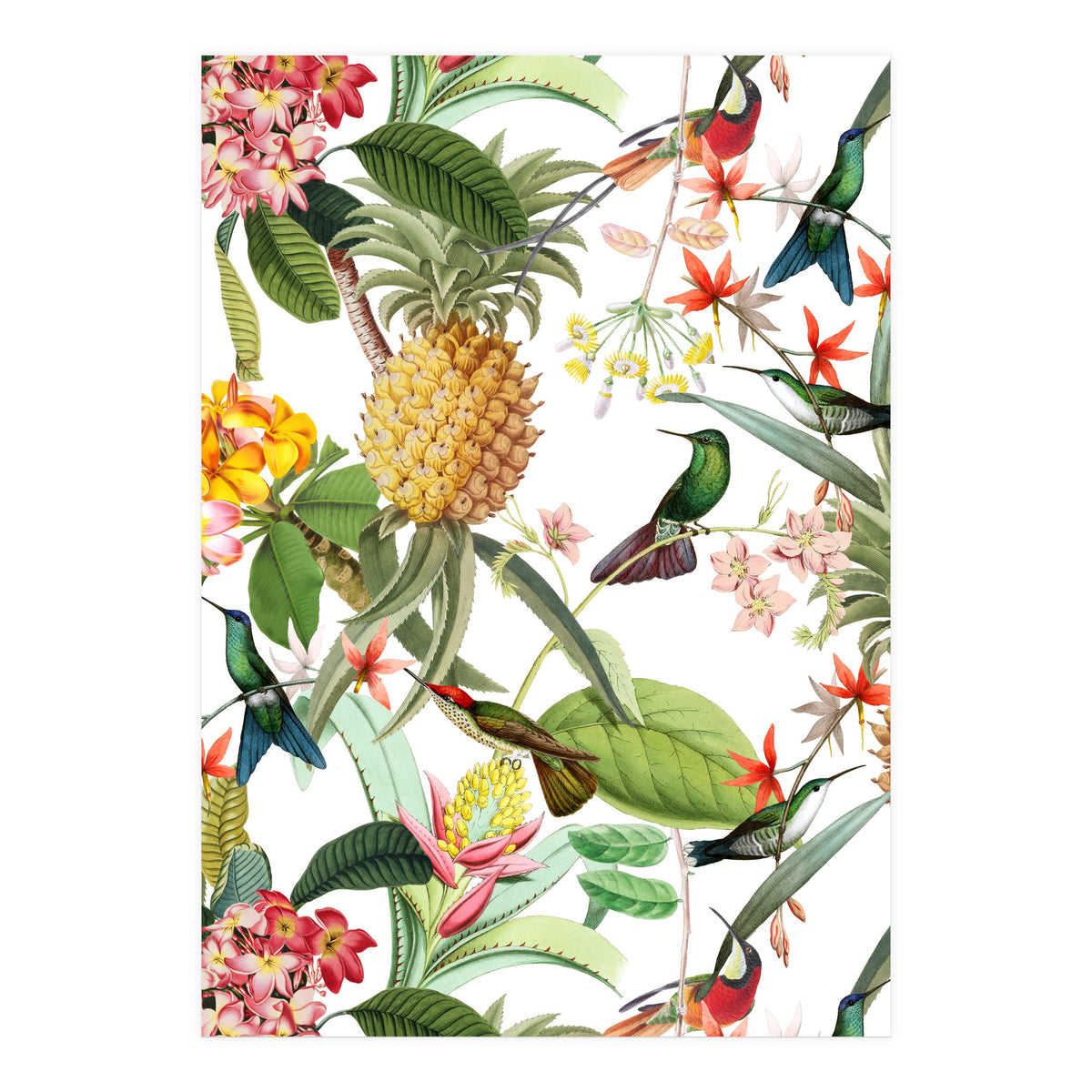 Hummingbirds in tropical Jungle (Print Only)