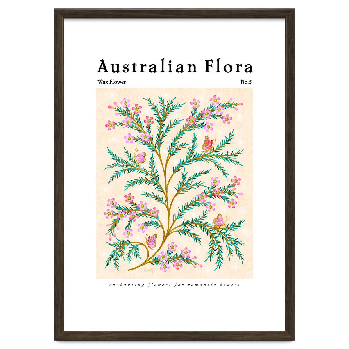 Australian Flora: Wax Flower